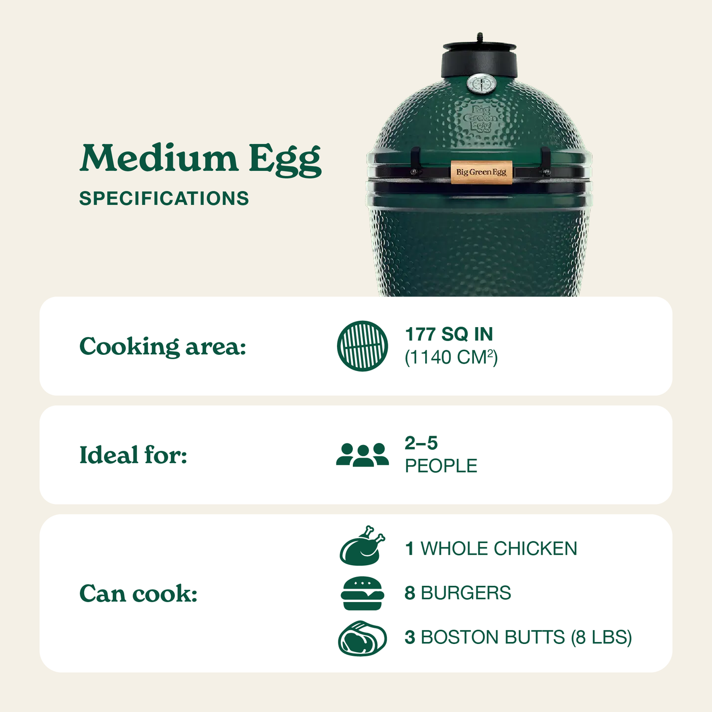 Medium Green Egg in a Modular Nest Package
