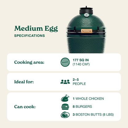 Medium Green Egg in a Modular Nest Package