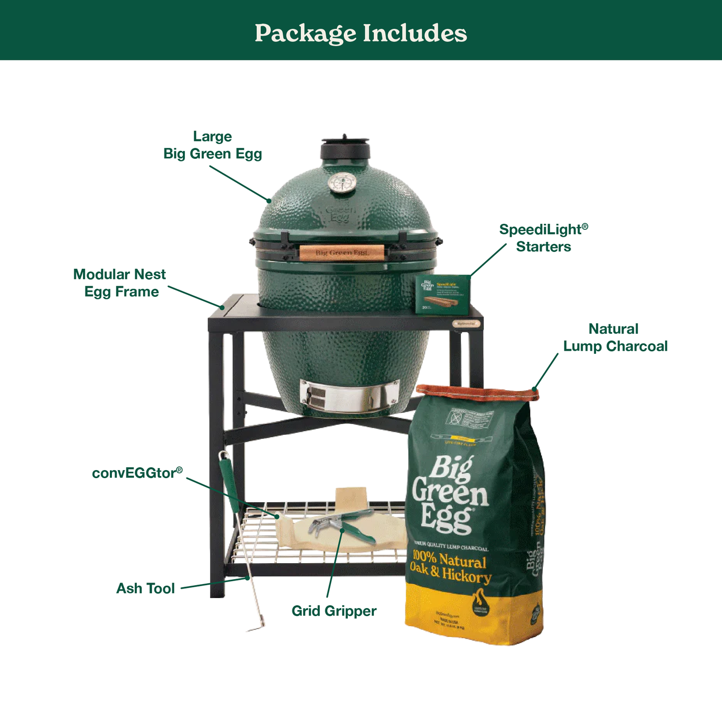 Large The Green Egg in Modular Nest Package