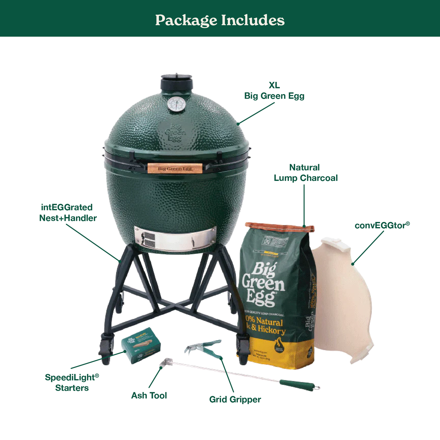 XL The Green Egg in an intEGGrated Nest+Handler Package