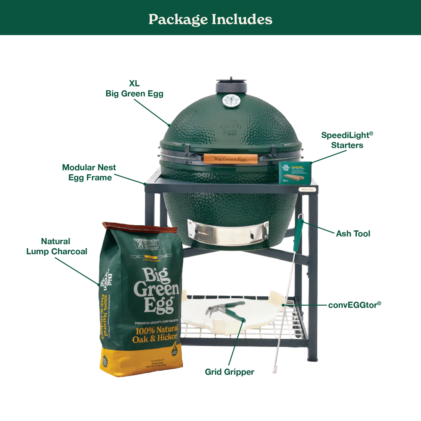 XL The Green Egg in Modular Nest Package