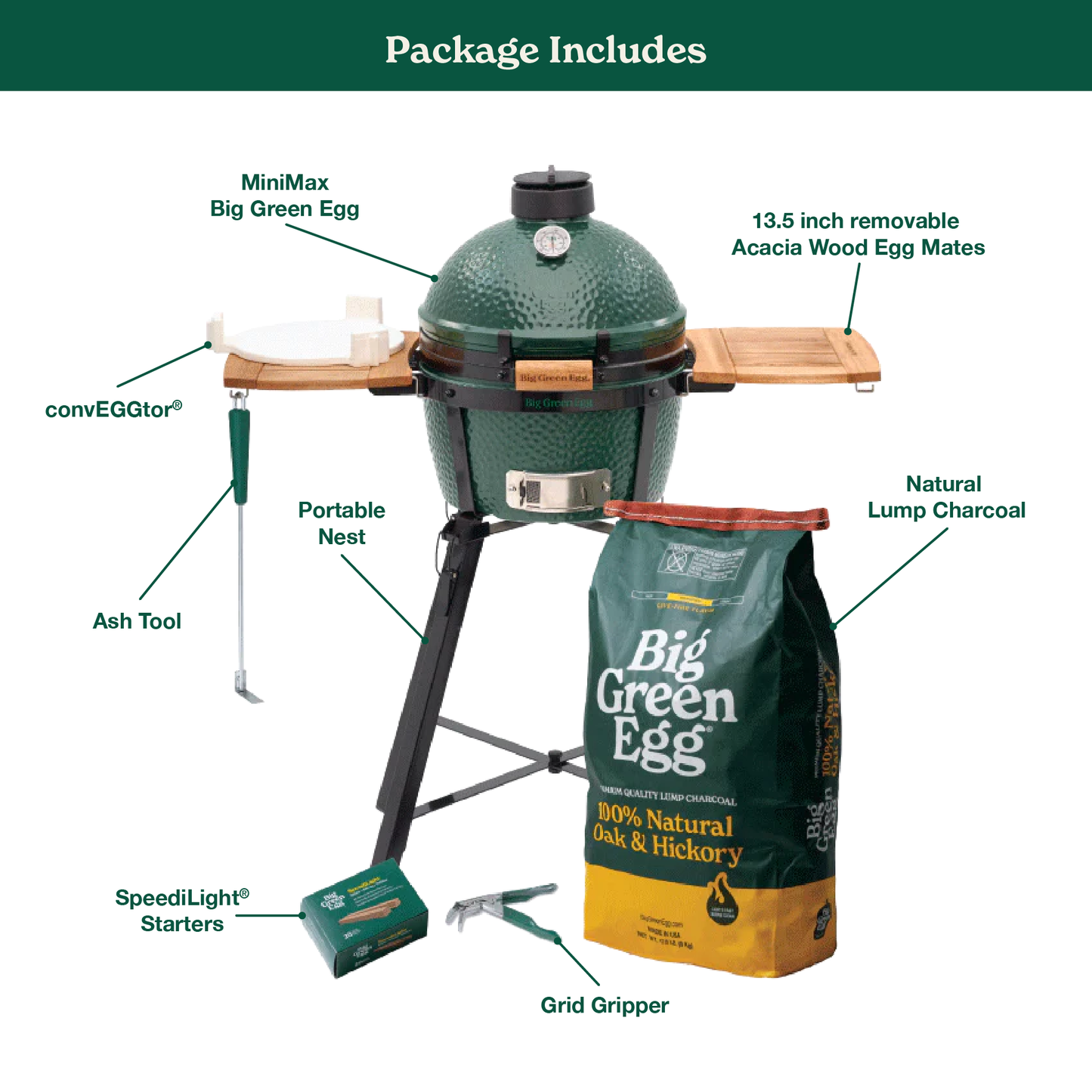 MiniMax Green Egg with Nest and Acacia Mates Package