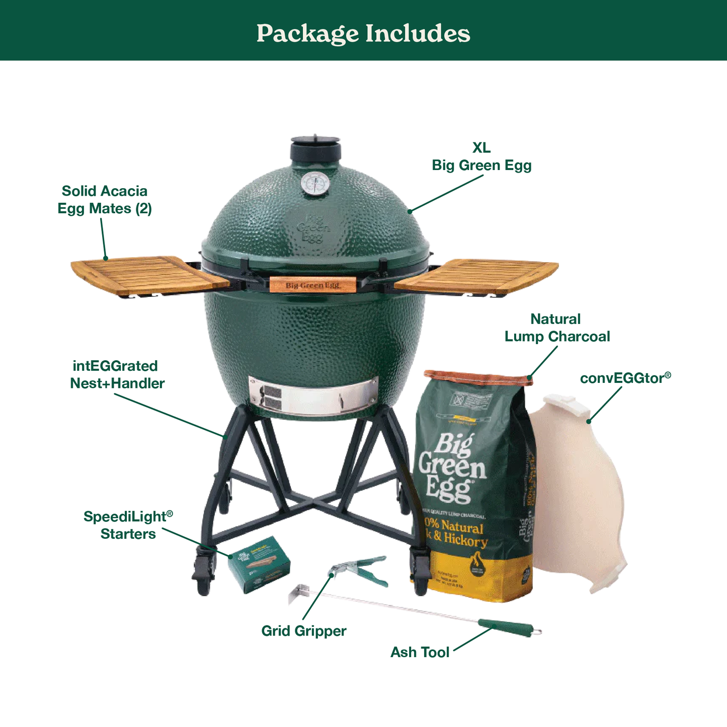 XL The Green Egg in an intEGGrated Nest+Handler with Mates Package