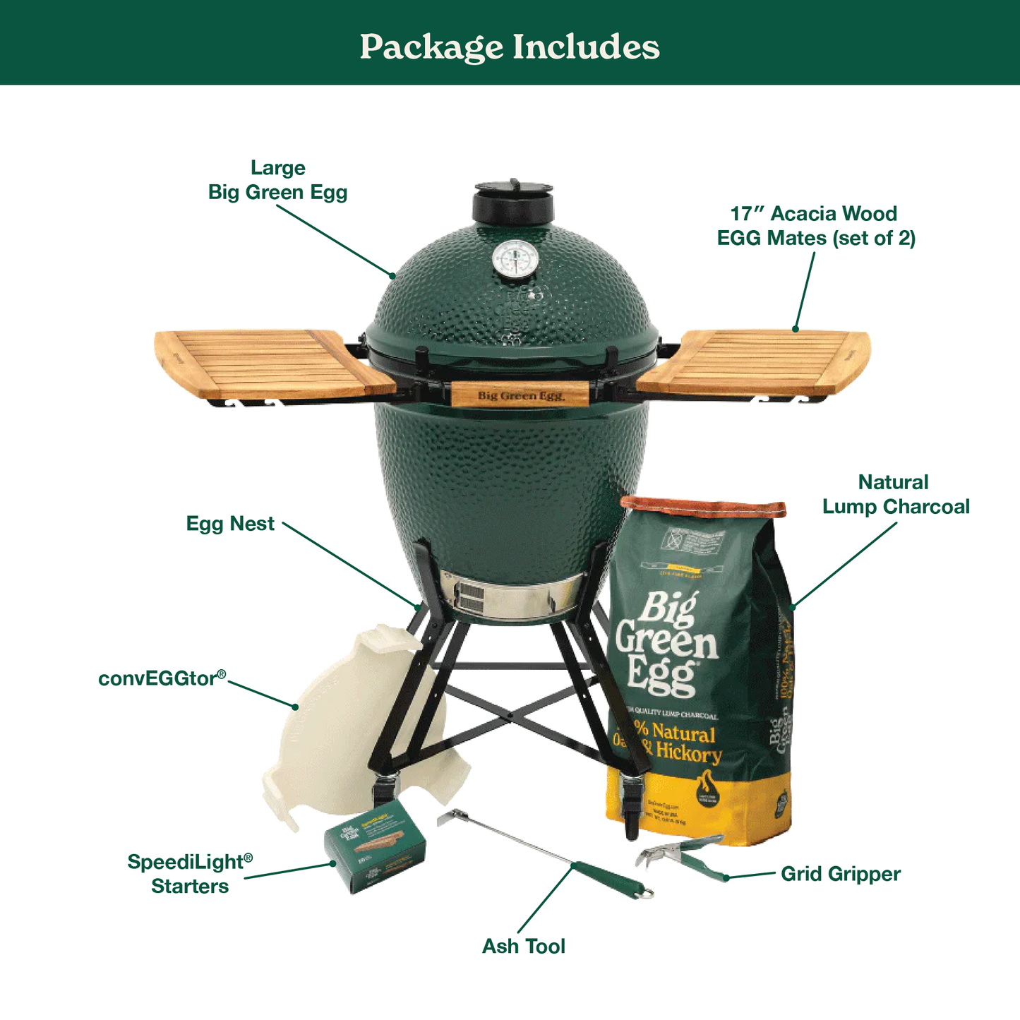 Large Green Egg in a Nest with Acacia Mates Package