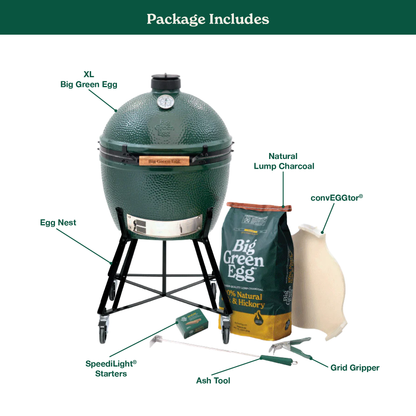 XL The Green Egg in Nest Package