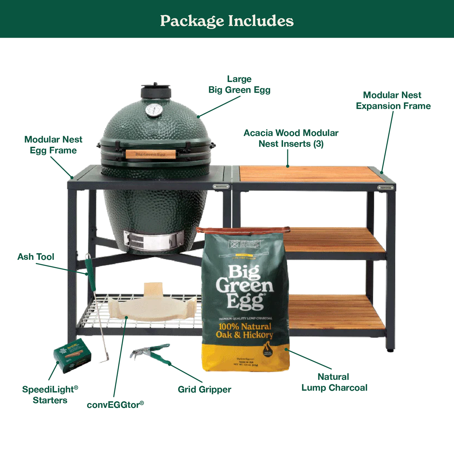 Large The Green Egg in Modular Nest with Expansion and 3 Acacia Inserts Package