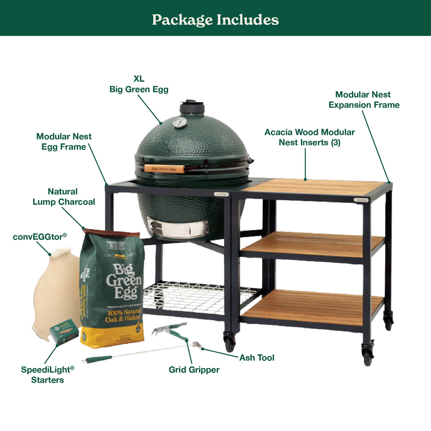XL The Green Egg in Modular Nest with Expansion and 3 Acacia Inserts Package