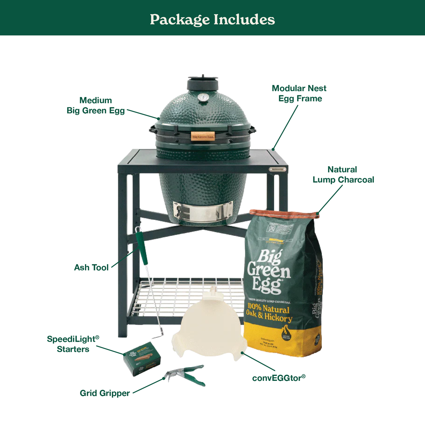 Medium Green Egg in a Modular Nest Package
