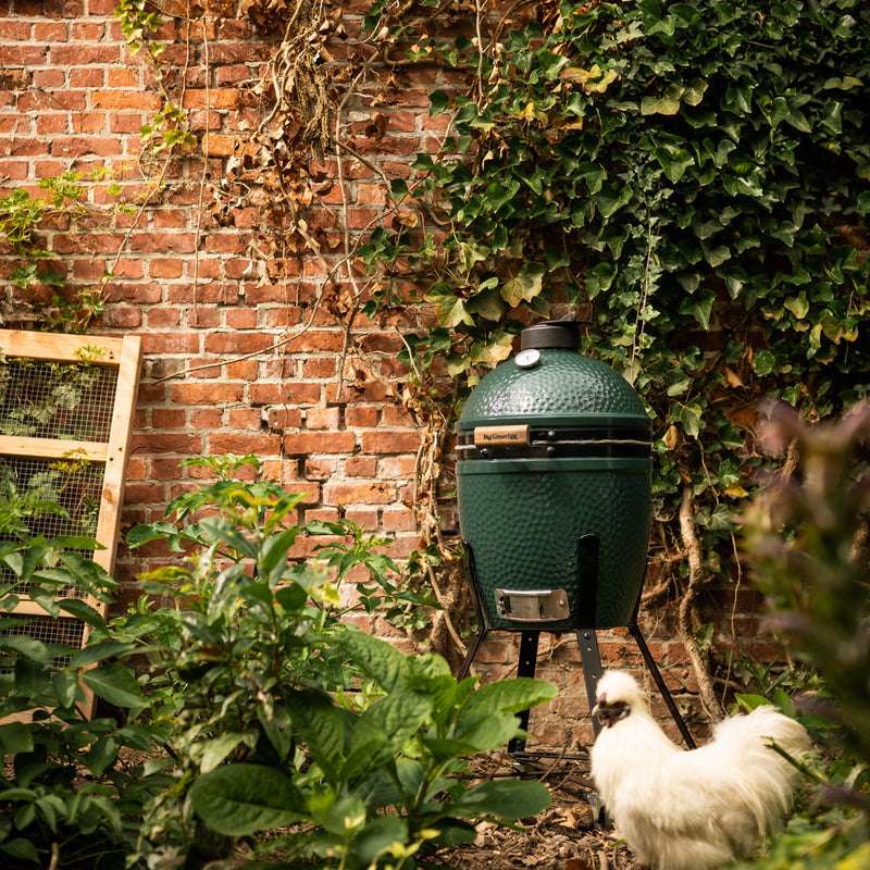 Small The Green Egg