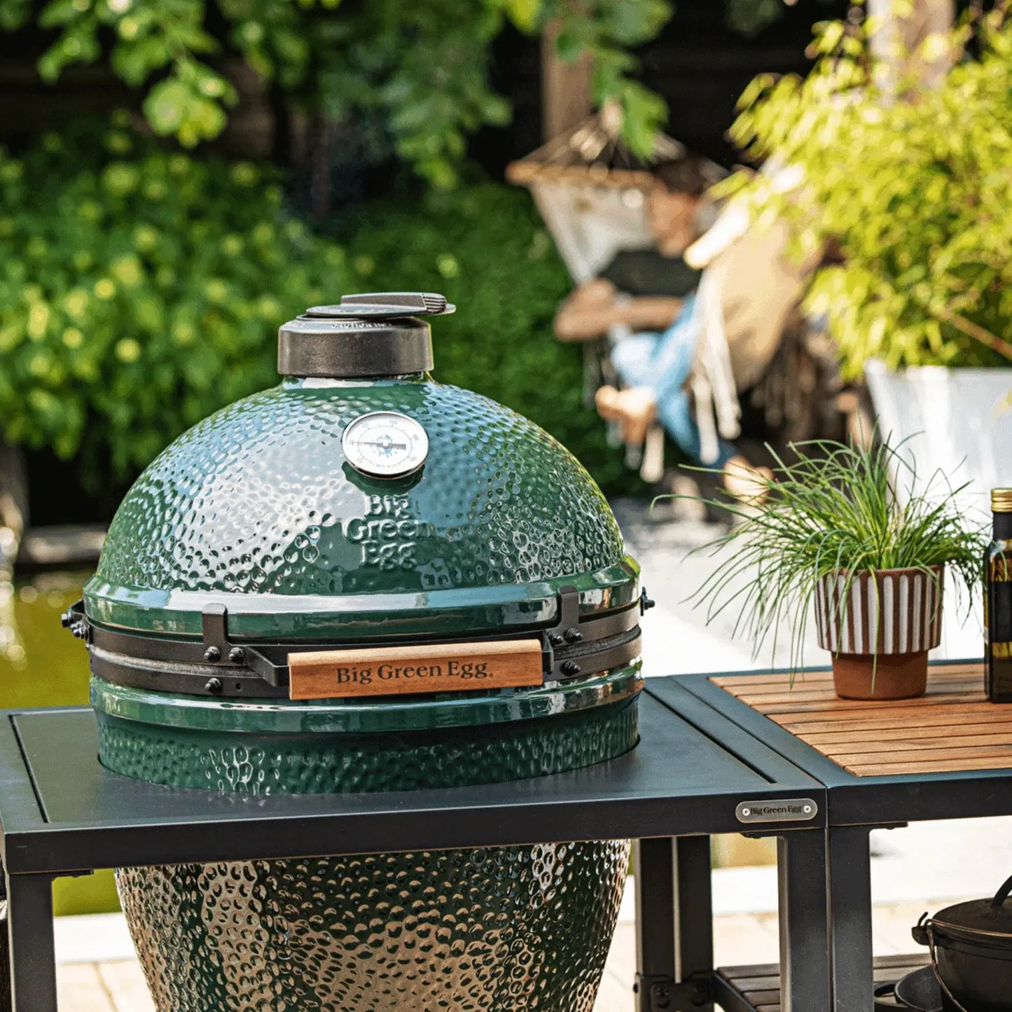 Medium Green Egg in a Modular Nest Package