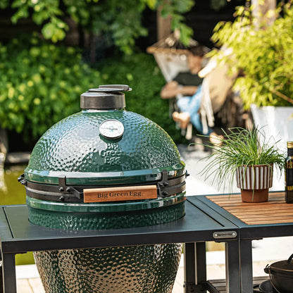 Medium Green Egg in a Modular Nest Package