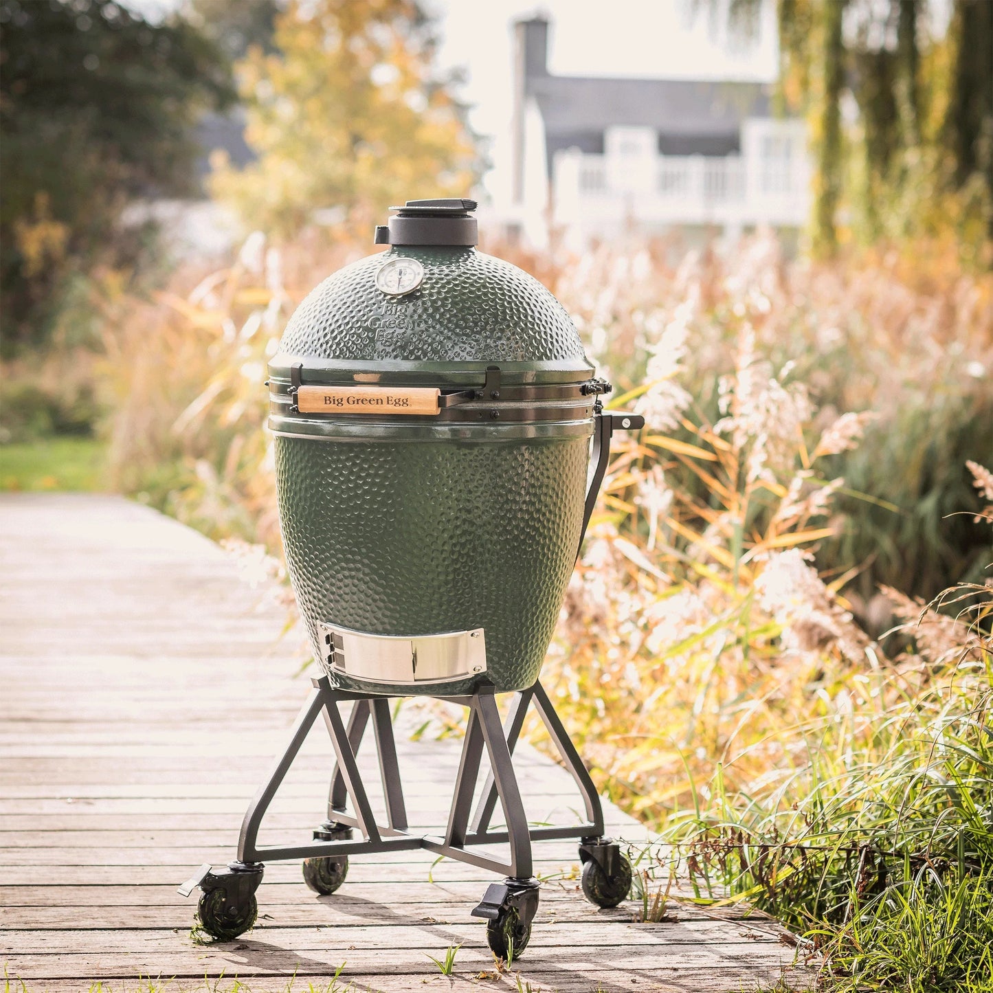 Large The Green Egg in an intEGGrated Nest+Handler Package