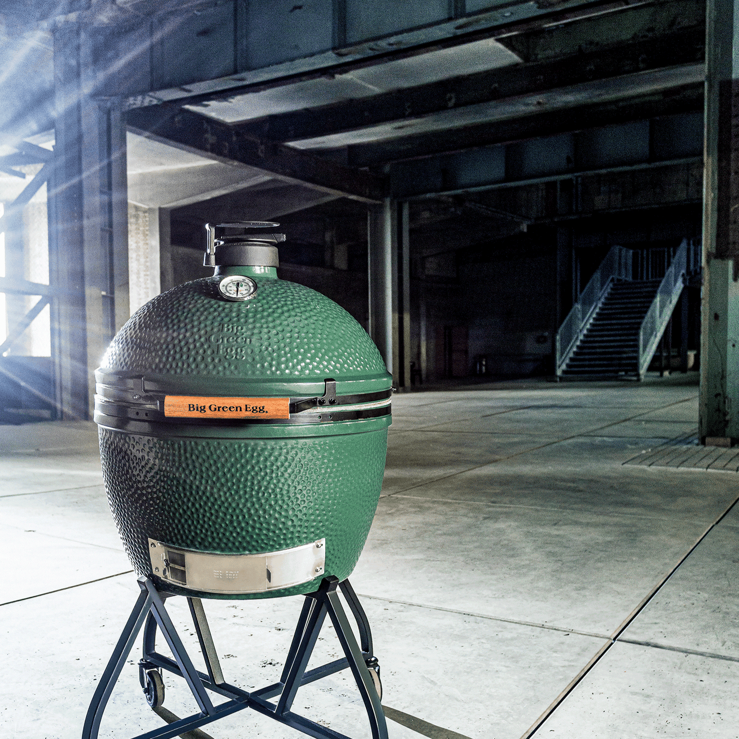 XL The Green Egg in an intEGGrated Nest+Handler Package